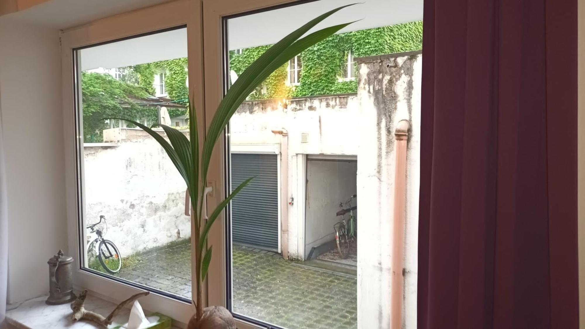 Stilvolles Appartement Im Zentralen Schwabing - Innenstadt ميونيخ المظهر الخارجي الصورة